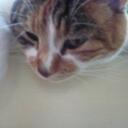 Ann Jennings - @purrple - Twitter