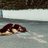 Fariha_Ahmadzai's profile image