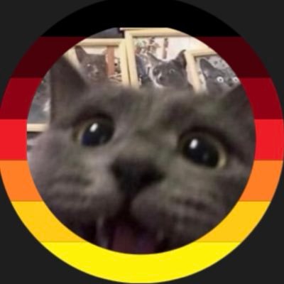 Bärnd Bärndmann🦔🇩🇪