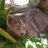MAsin1203's profile image