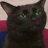 gooddayfreze__'s profile image