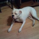 Malik Lyons - @MalikLyons14 - Twitter