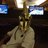 scostanz's profile image