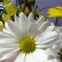 Donna Chapel - @donnachapel - Twitter