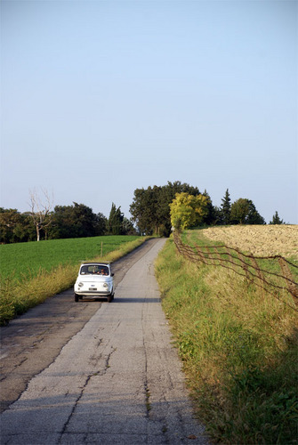 moritape's profile picture. in treatment... retweeteadora compulsiva