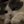 Thomas Sherman (@ThomasSher12131) profile picture