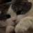 ThomasSher12131's profile image