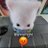 dissentigrate's profile image