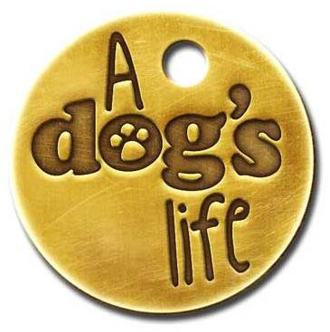 ADogsLifeIE's profile picture. A Dogs Life is a registered charity In Ireland run by volunteers who work to give pound dogs the chance of a better life. Find us in FB: A Dogs Life.