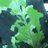 buce_panman's profile image