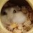 KQM5gEv7q19N6SP's profile image