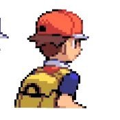 xsnes's profile image