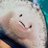 HMlukNaGYX's profile image