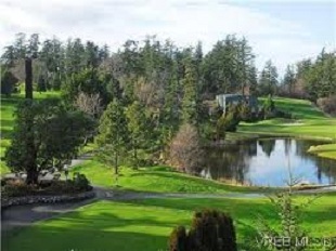 GolfLiveVictori's profile picture. Do you have a VCATION  RENTAL in Victoria?  Looking for Managed Services?Contact us at aust@islandnet.com