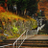 seta_fz1's profile image