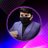 Junaid_Iqball's profile image