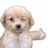 5mysunshine's profile image