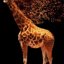 Jacque Smith - @JacqueSmith4 - Twitter