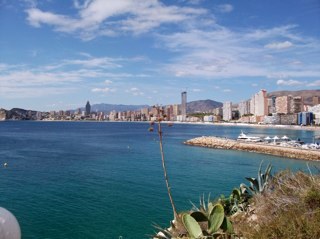 zjomka's profile picture. 