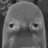 whaacatching's profile image