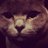FattingET's profile image