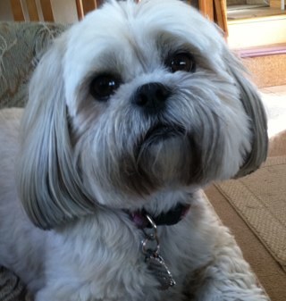 CSawitoski's profile picture. 