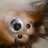 kinueda's profile image