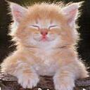 Lucy Longo - @lblongo - Twitter