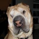 Jeff Sargeant - @jeffsargeant - Twitter