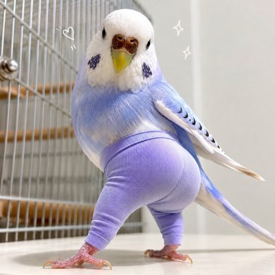 ひとりごと