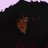 spicedbunni's profile image