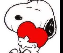 toliverskinders's profile picture. 