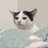 BEZEBUBS's profile image