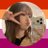 virtualseong's profile image