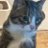 GGonyaK1221's profile image