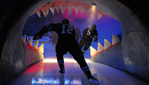 Ryan_Sharks_88's profile picture. #sfgiants
#sjsharks
#sf49ers
#gswarriors