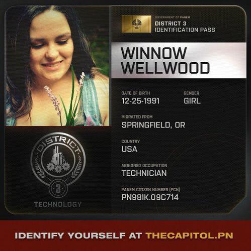 I live in District 3 here in Panem. My parents are inventors. I am currently a technician. I work under Beetee. But someday I will be an amazing inventor!