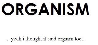 Stubbsavery's profile picture. i always follow back!!!;)