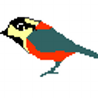 H.Hiraizumi (@birdingpage) 's Twitter Profile Photo