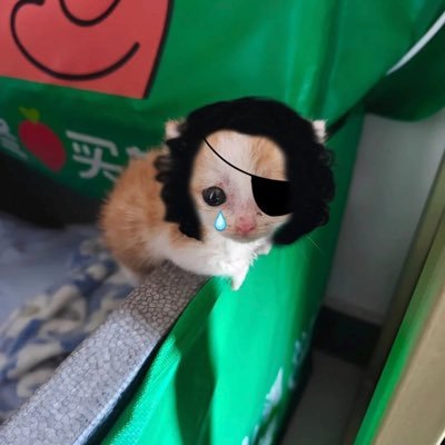 19•MDNI•black•pansexual•lowkey just reposting stuff•dms open