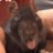 ricefactory27's profile image