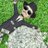 lawmanstocks's profile image