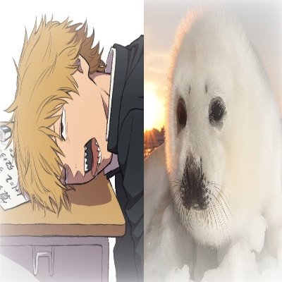 ⌗zexx 🐾┆🧁
