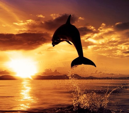 snapb202's profile picture. 