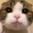6mzl1o's profile image