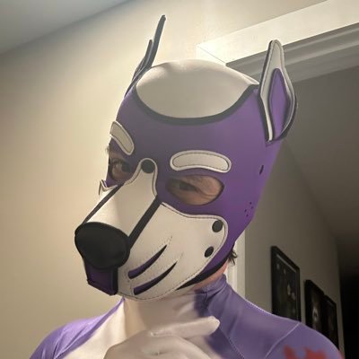 36M gaymer pup, based in the Midwest. NSFW, talk nerdy to me! No minors, DMs open