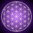 verparacreeeer's profile image