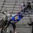 kam_curliss's profile image