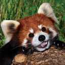 Jack Brenner - @jb_jylean - Twitter