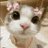 maxtxp's profile image